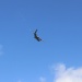 IMG_6305 IMG_6305