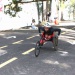 RC8156 RC8156