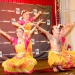 IMG_4545 IMG_4545