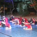 IMG_5785 IMG_5785