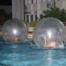 IMG_5864 IMG_5864