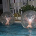 IMG_5865 IMG_5865