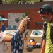 IMG_7747 IMG_7747