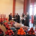 IMG_7916 IMG_7916