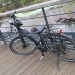 IMG_1649 IMG_1649