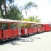 IMG_2377 IMG_2377