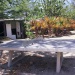 IMG_2344 IMG_2344
