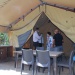 IMG_2318 IMG_2318