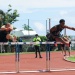 IMG_2486 IMG_2486