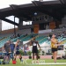 IMG_3356 IMG_3356