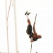 IMG_4325 IMG_4325