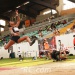 IMG_4274 IMG_4274