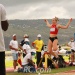 IMG_4241 IMG_4241