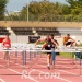 IMG_4033 IMG_4033