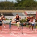 IMG_4012 IMG_4012