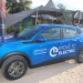 IMG_6387 IMG_6387