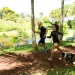 IMG_7326 IMG_7326