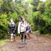 IMG_8412 IMG_8412