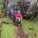IMG-20210506-WA0003