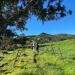 IMG-20210506-WA0010