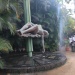 IMG_9112 IMG_9112