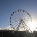 IMG_7718 IMG_7718