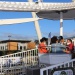 IMG_7691 IMG_7691
