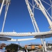 IMG_7690 IMG_7690