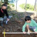 IMG_2255 IMG_2255