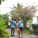 IMG_0141 IMG_0141