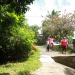 IMG_0286 IMG_0286