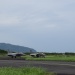 DSC_0679 DSC_0679