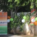 IMG_0342 IMG_0342