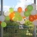 IMG_0405 IMG_0405