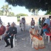 IMG_0563 IMG_0563
