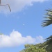 IMG_0604 IMG_0604