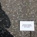 IMG_4287 IMG_4287