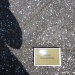 IMG_4289 IMG_4289