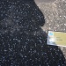 IMG_4292 IMG_4292