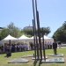 IMG_4375 IMG_4375