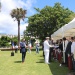 IMG_4446 IMG_4446