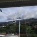 IMG_5773 IMG_5773