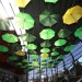 IMG_5640 IMG_5640