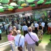 IMG_5650 IMG_5650