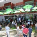IMG_5668 IMG_5668