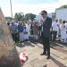 IMG_0965 IMG_0965