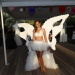 IMG_8812 IMG_8812