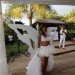 IMG_8814 IMG_8814