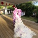 IMG_8817 IMG_8817