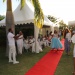 IMG_8818 IMG_8818